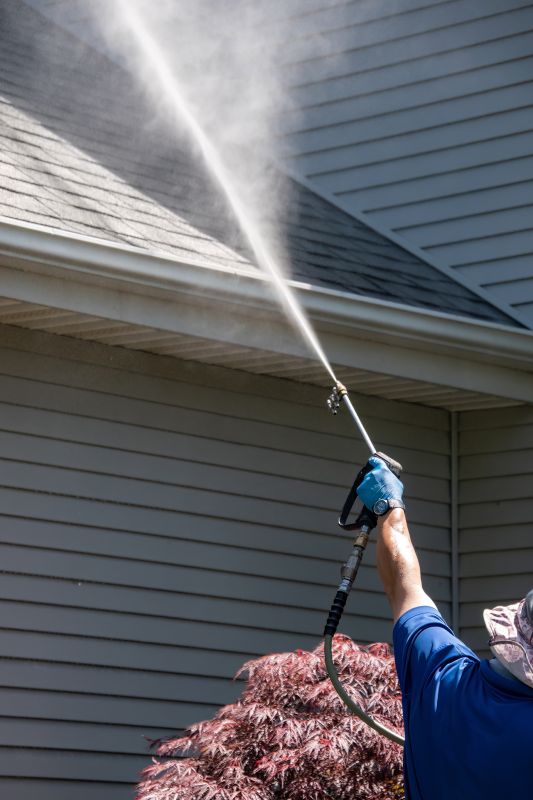 Gutter and Eaves Cleaning
